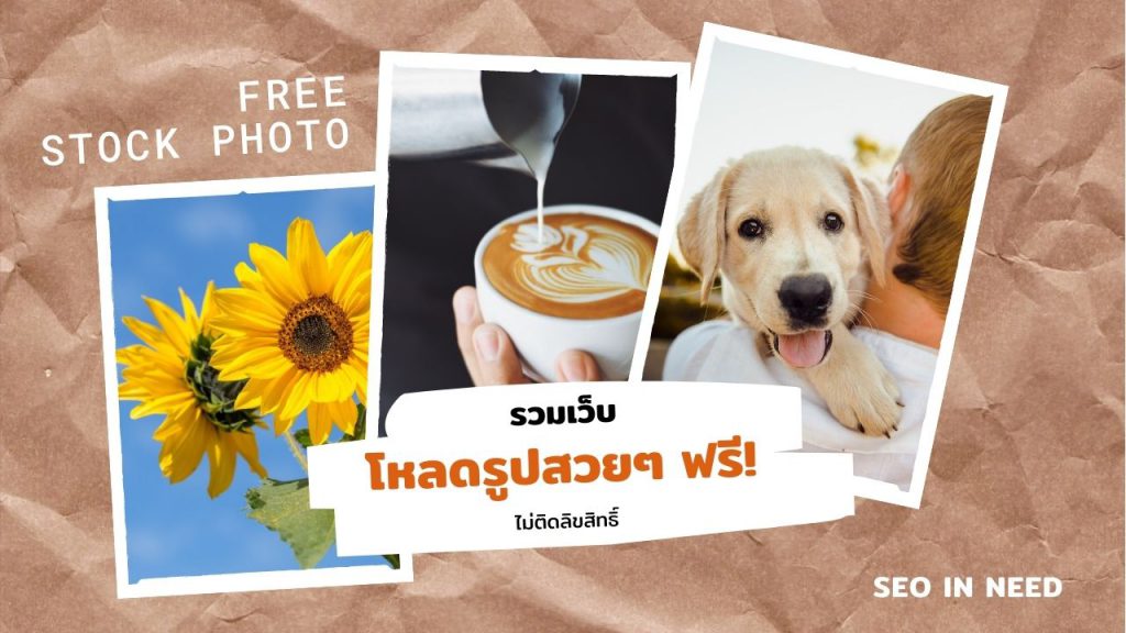 เว็บโหลด รูปสวยๆ ฟรี สามารถนำไปใช้ไม่ติดลิขสิทธิ์