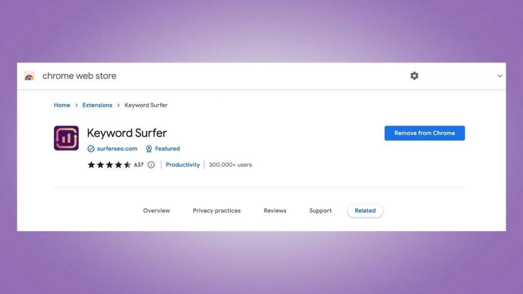 โปรแกรมหา keyword ฟรี |  Keyword surfer เครื่องมือค้นหาคีย์เวิร์ด